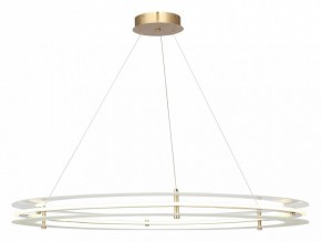 Подвесной светильник ST-Luce FAGY SL6245.213.01 в Александровском - alexsandrovskoe.ok-mebel.com | фото 2