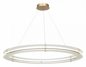 Подвесной светильник ST-Luce FAGY SL6245.213.01 в Александровском - alexsandrovskoe.ok-mebel.com | фото 4