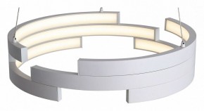 Подвесной светильник ST-Luce Genuine SL963.503.01 в Александровском - alexsandrovskoe.ok-mebel.com | фото