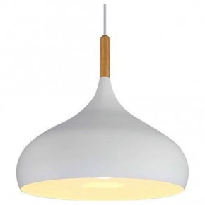 Подвесной светильник TopDecor Molto Molto S2 10 в Александровском - alexsandrovskoe.ok-mebel.com | фото