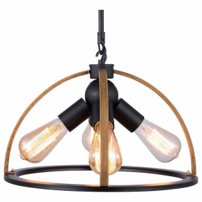 Подвесной светильник TopLight Jasmin TL1179H-04BK в Александровском - alexsandrovskoe.ok-mebel.com | фото