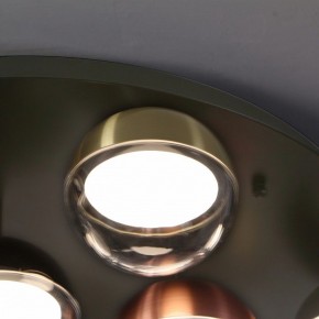 Потолочная люстра Favourite Luna 4371-12C в Александровском - alexsandrovskoe.ok-mebel.com | фото 2