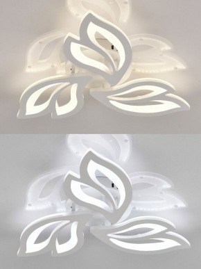 Потолочная люстра Natali Kovaltseva  LED LAMPS 81426 в Александровском - alexsandrovskoe.ok-mebel.com | фото 4