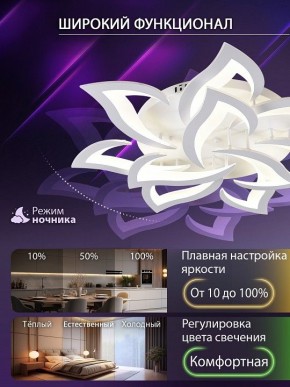 Потолочная люстра Natali Kovaltseva OLIMP LED SMART 84005 в Александровском - alexsandrovskoe.ok-mebel.com | фото 6