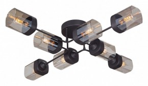 Потолочная люстра Vitaluce 4889 V4889-1/8PL в Александровском - alexsandrovskoe.ok-mebel.com | фото