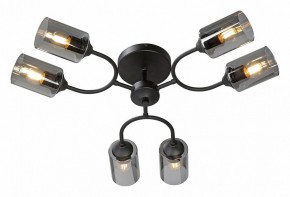 Потолочная люстра Vitaluce V2823 V2823-1/6PL в Александровском - alexsandrovskoe.ok-mebel.com | фото 2
