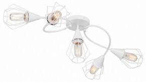Потолочная люстра Vitaluce V3037 V3037-0/5PL в Александровском - alexsandrovskoe.ok-mebel.com | фото