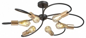 Потолочная люстра Vitaluce V3076 V3076-1/6PL в Александровском - alexsandrovskoe.ok-mebel.com | фото 3