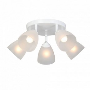 Потолочная люстра Vitaluce V4355 V4355-0/5PL в Александровском - alexsandrovskoe.ok-mebel.com | фото 2