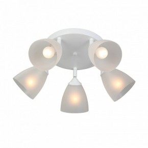 Потолочная люстра Vitaluce V4355 V4355-0/5PL в Александровском - alexsandrovskoe.ok-mebel.com | фото 3