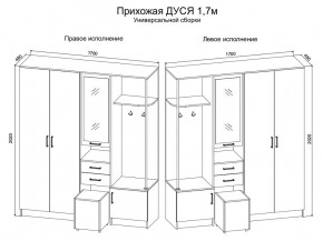 Прихожая Дуся 1.7 УНИ (Дуб Бунратти/Белый Бриллиант) в Александровском - alexsandrovskoe.ok-mebel.com | фото 2