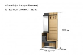 Прихожая "Ольга-Лофт 1" в Александровском - alexsandrovskoe.ok-mebel.com | фото 4