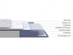 PROxSON Матрас Active Duo S/F (Ткань Трикотаж Эко) 90x195 в Александровском - alexsandrovskoe.ok-mebel.com | фото 2