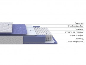 PROxSON Матрас Active F (Ткань Трикотаж Эко) 80x200 в Александровском - alexsandrovskoe.ok-mebel.com | фото 2