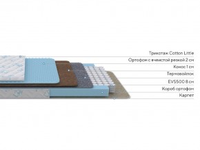 PROxSON Матрас Совенок (Cotton Little PROSON) 60x120 в Александровском - alexsandrovskoe.ok-mebel.com | фото 2