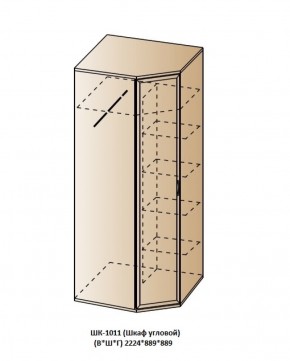 ШК-1011 (Шкаф угловой) в Александровском - alexsandrovskoe.ok-mebel.com | фото
