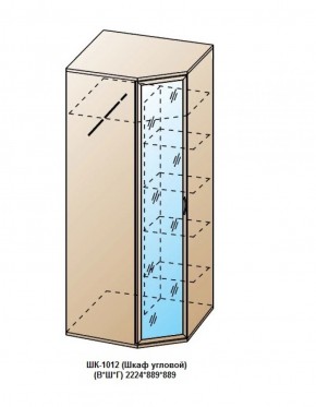 ШК-1012 (Шкаф угловой) в Александровском - alexsandrovskoe.ok-mebel.com | фото