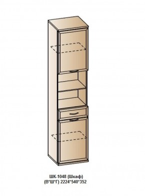 ШК-1048 (Шкаф) в Александровском - alexsandrovskoe.ok-mebel.com | фото