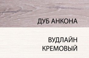 Шкаф 1DZ, OLIVIA, цвет вудлайн крем/дуб анкона в Александровском - alexsandrovskoe.ok-mebel.com | фото 3