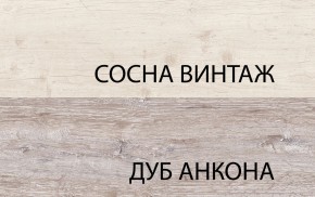Шкаф 2D1S, MONAKO, цвет Сосна винтаж/дуб анкона в Александровском - alexsandrovskoe.ok-mebel.com | фото