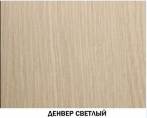 Шкаф для одежды №609 "Инна" Денвер светлый (*без полок) в Александровском - alexsandrovskoe.ok-mebel.com | фото 4