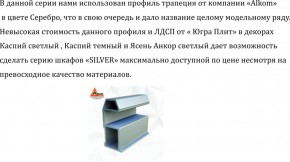 Шкаф-купе 1300 серии SILVER S5+S5+B2+PL3 (2 ящика+2 штанги) профиль «Серебро» в Александровском - alexsandrovskoe.ok-mebel.com | фото 4