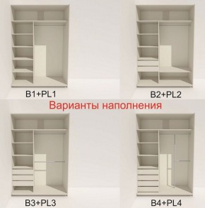 Шкаф-купе 1400 серии SOFT D8+D2+B2+PL4 (2 ящика+F обр.штанга) профиль «Графит» в Александровском - alexsandrovskoe.ok-mebel.com | фото 6