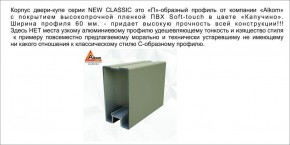 Шкаф-купе 1500 серии NEW CLASSIC K3+K3+B2+PL1 (2 ящика+1 штанга) профиль «Капучино» в Александровском - alexsandrovskoe.ok-mebel.com | фото 5