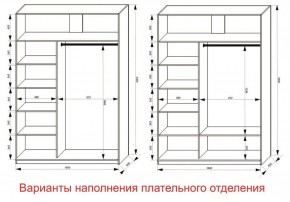 Шкаф-купе 1600 серии SOFT D1+D3+B2+PL1 (2 ящика+1штанга) профиль «Графит» в Александровском - alexsandrovskoe.ok-mebel.com | фото 6