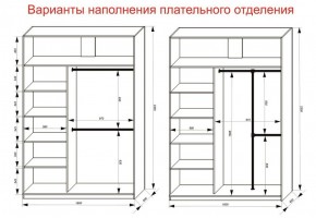 Шкаф-купе 1600 серии SOFT D1+D3+B2+PL1 (2 ящика+1штанга) профиль «Графит» в Александровском - alexsandrovskoe.ok-mebel.com | фото 7