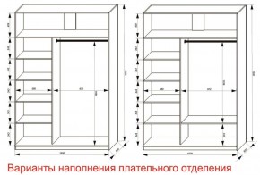 Шкаф-купе 1600 серии SOFT D6+D4+B2+PL2 (2 ящика+1штанга+1 полка) профиль «Капучино» в Александровском - alexsandrovskoe.ok-mebel.com | фото 8