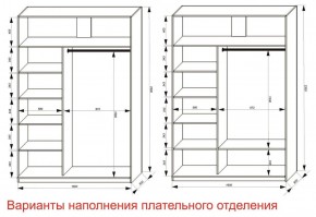 Шкаф-купе 1600 серии SOFT D8+D2+B2+PL4 (2 ящика+F обр.штанга) профиль «Графит» в Александровском - alexsandrovskoe.ok-mebel.com | фото 7