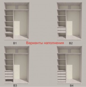 Шкаф-купе 1700 серии SILVER S4+S3Z+B2+PL1 (2 ящика+1 штанга) профиль «Серебро» в Александровском - alexsandrovskoe.ok-mebel.com | фото 5