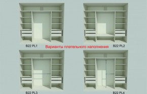 Шкаф-купе 2450 серии NEW CLASSIC K6Z+K1+K6+B22+PL1 (по 2 ящика лев/прав+1 штанга) профиль «Капучино» в Александровском - alexsandrovskoe.ok-mebel.com | фото 6