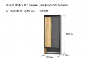 ОЛЬГА-ЛОФТ 10.1 Шкаф-купе без зеркала в Александровском - alexsandrovskoe.ok-mebel.com | фото 3