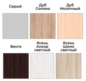 Шкаф-купе ХИТ 22-18-111 (620) в Александровском - alexsandrovskoe.ok-mebel.com | фото 3
