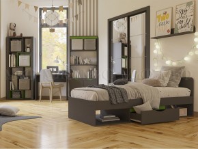 НЕАПОЛЬ Шкаф-купе (Графит) в Александровском - alexsandrovskoe.ok-mebel.com | фото 3