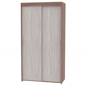 Шкаф-купе T-1-230х120х60 "ТОП" в Александровском - alexsandrovskoe.ok-mebel.com | фото 10