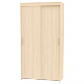 Шкаф-купе T-1-230х120х60 "ТОП" в Александровском - alexsandrovskoe.ok-mebel.com | фото 8