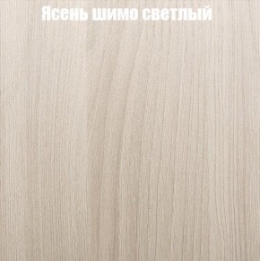 Шкаф-купе «ТАНДЕМ» 2-х дверный в алюминиевом профиле (Дверь К+К) 1400/h2200 в Александровском - alexsandrovskoe.ok-mebel.com | фото 6