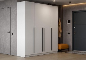 Шкаф платяной Бирма в Александровском - alexsandrovskoe.ok-mebel.com | фото 4