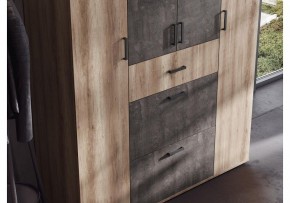 Шкаф платяной Паркинс в Александровском - alexsandrovskoe.ok-mebel.com | фото 3