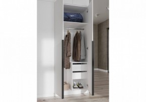 Шкаф платяной Широн в Александровском - alexsandrovskoe.ok-mebel.com | фото 3