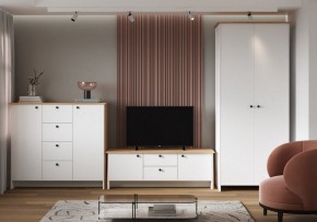 Шкаф платяной Теодора в Александровском - alexsandrovskoe.ok-mebel.com | фото 4