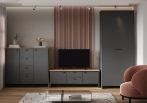 Шкаф платяной Теодора в Александровском - alexsandrovskoe.ok-mebel.com | фото 3