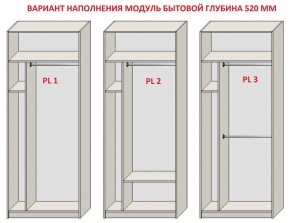 Шкаф распашной серия «ЗЕВС» (PL3/С1/PL2) Серый камень/Небраска натуральный в Александровском - alexsandrovskoe.ok-mebel.com | фото 5