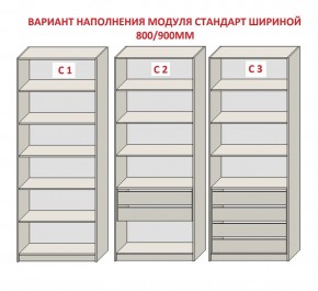 Шкаф распашной серия «ЗЕВС» (PL3/С1/PL2) Серый камень/Небраска натуральный в Александровском - alexsandrovskoe.ok-mebel.com | фото 6
