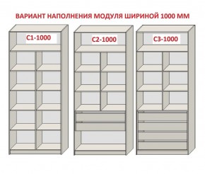 Шкаф распашной серия «ЗЕВС» (PL3/С1/PL2) Серый камень/Небраска натуральный в Александровском - alexsandrovskoe.ok-mebel.com | фото 7
