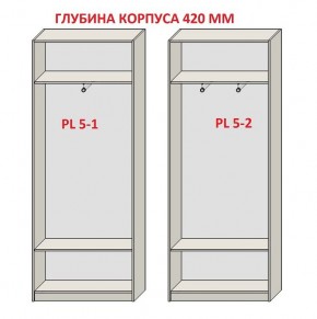 Шкаф распашной серия «ЗЕВС» (PL3/С1/PL2) Серый камень/Небраска натуральный в Александровском - alexsandrovskoe.ok-mebel.com | фото 8