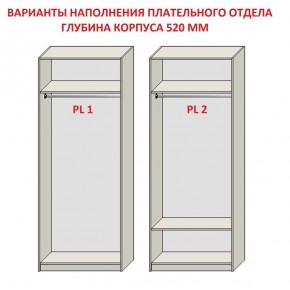 Шкаф распашной серия «ЗЕВС» (PL3/С1/PL2) Серый камень/Небраска натуральный в Александровском - alexsandrovskoe.ok-mebel.com | фото 9